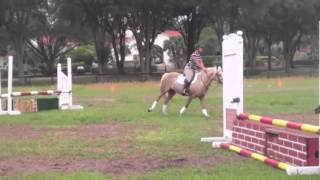 Mini Skirt short stirrup through division med