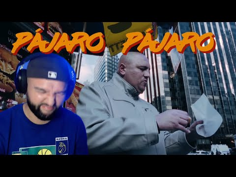 ( REACCIÓN) MIDAS ALONSO FT J ROLDAN - PÁJARO PÁJARO