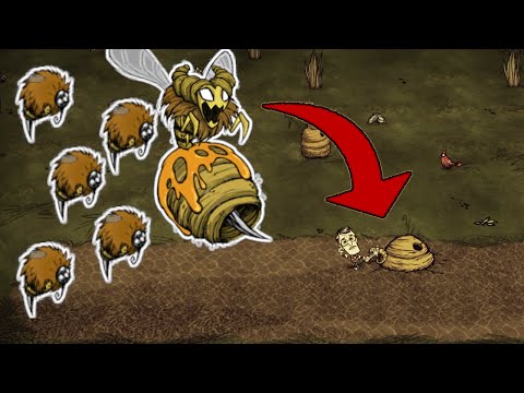 Wszystko o KRÓLOWEJ PSZCZÓŁ! - Poradnik