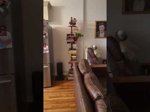 video 1