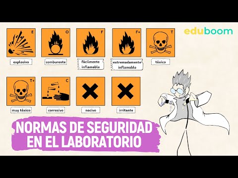 Normas de seguridad en el laboratorio │ Física y Química, 2° ESO