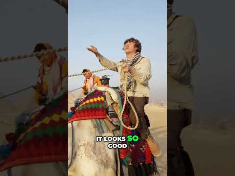 Egypt Adventure: Camel Ride by the Pyramids! #shorts