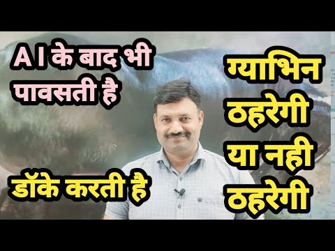 गाभिन ठहरेगी या नहीं ठहरेगी AI के बाद भी पावसती है