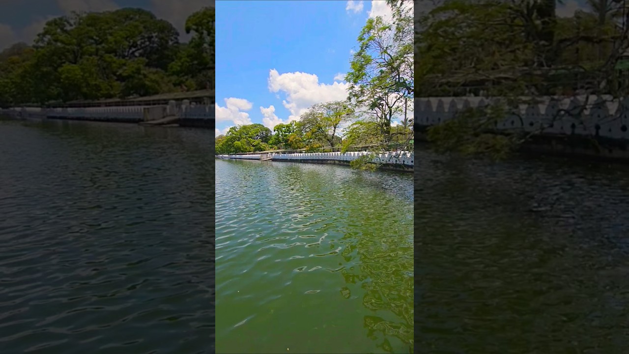 YouTube Short thumbnail