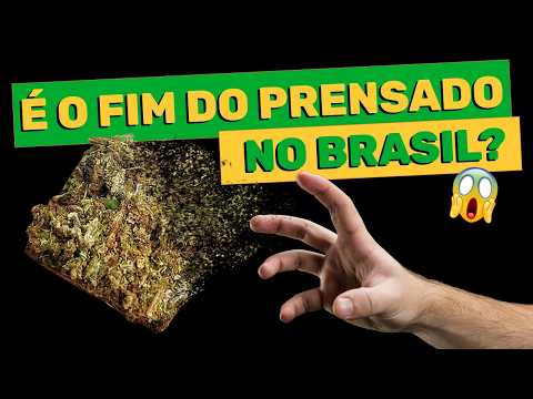 THE ORIGIN OF THE PRESSED CRISIS (journalistic research)