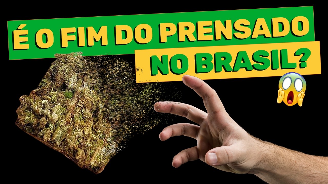 A ORIGEM da CRISE do PRENSADO (investigação jornalística)