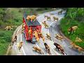 65 Incredible Safari Moments Caught On Camera