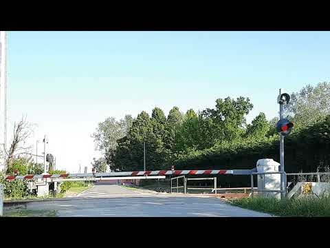 Passaggio a livello n.15 - Migliarino - Via Fiorella km 34+394 (apertura con rintocco)