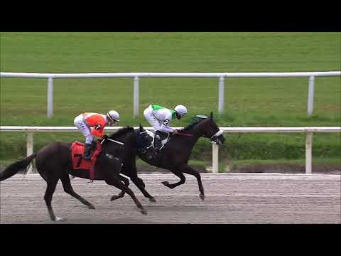 201114 c01 ESTE DORADO