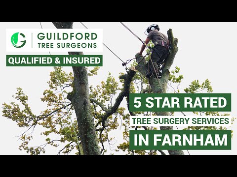 Guildford Tree Surgeons video.