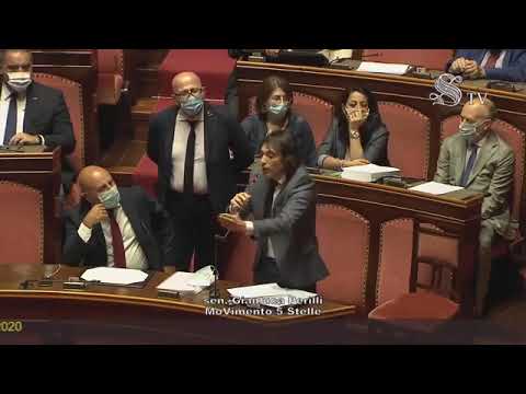 Gianluca Perilli (M5S) - Intervento aula Senato - 15/07/2020