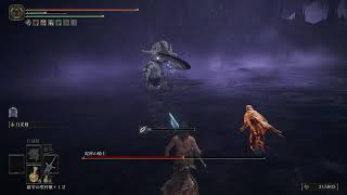 【泥濘の騎士】おぎちょんの「ELDEN RING SHADOW OF THE ERDTREE」 #18