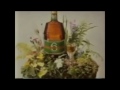 Sechsämtertropfen 80erJahre Fernsehwerbung