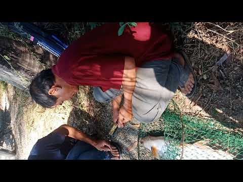 Đam mê - Hoàng Quân