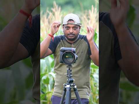 Birds Are Even More Horrifying Than We Thought💢💫#shorts