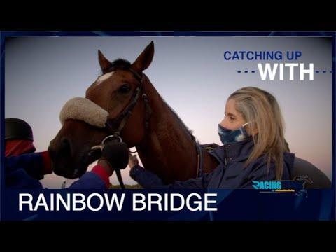 RAINBOW BRIDGE TO GO STRAIGHT INTO THE GOLD CHALLENGE