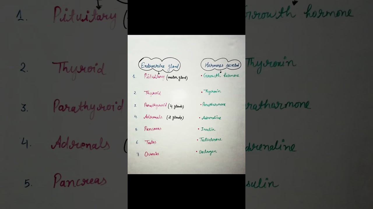 Reaching The Age Of Adolescence | Class 8 | Science | NCERT Class 8 Science Chapter | Word Meanings