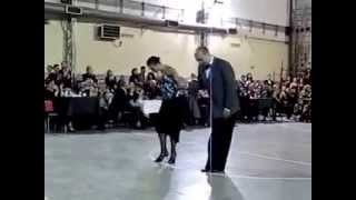 Video thumbnail for Diego Benavidez Natasha Agudelo @ Milonga Malena TANGO SALON EXTREMO 2014 de Fernando Galera