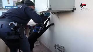 salerno-operazione-alto-impatto-il-video-dei-controlli