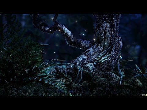 Soothing Night Forest Sounds - 1 Hour Ambient Soundscape - For Sleep & Relaxation (4K, 60fps)