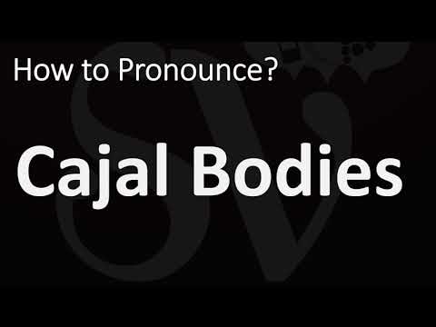 How to Pronounce Cajal Bodies? (CORRECTLY)
