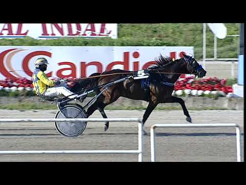 Napoli Trotto 24/03/2023 - 5ª corsa