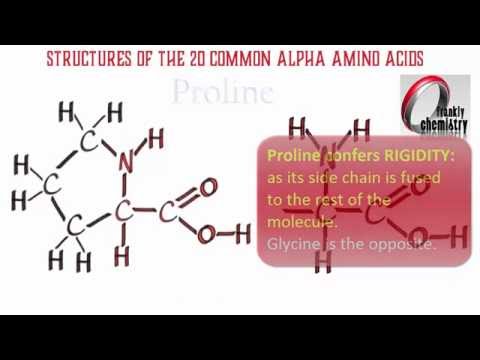 download lagu mp3 mp4 Essential And Nonessential Amino Acids Pdf, download lagu Essential And Nonessential Amino Acids Pdf gratis, unduh video klip Essential And Nonessential Amino Acids Pdf
