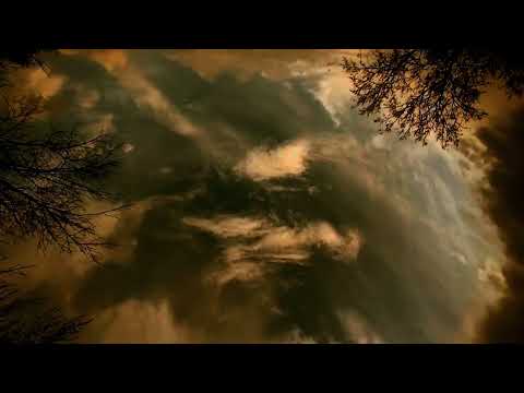 Not Afraid of Bad Moons 🌻 or Flying Rocks  Look Again!