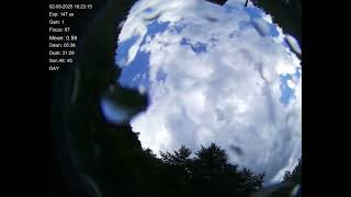 All sky camera capture from Teliucu Superior, Romania 2025-08-02