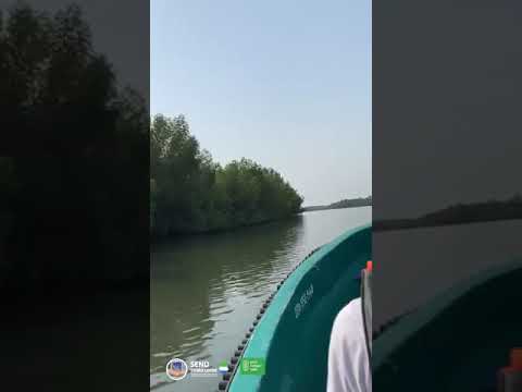 Field Visit to the Bonthe Island by Country Director