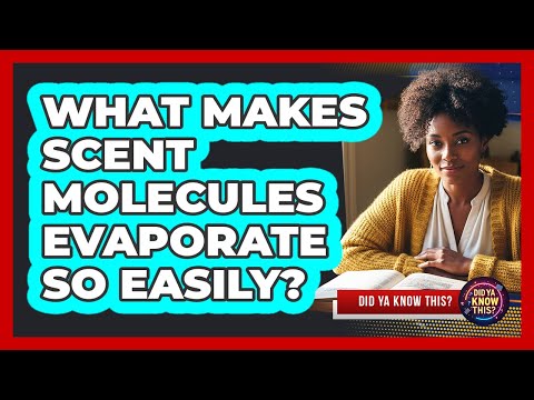 What Makes Scent Molecules Evaporate So Easily?