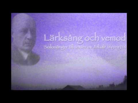 Nils-Eric Fougstedt: "Det var lärksång och glans över liden"
