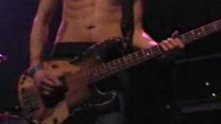 Babyshambles - A'rebours