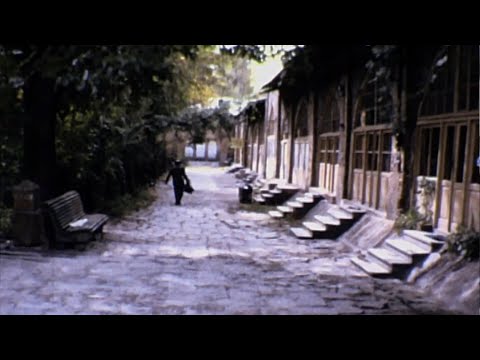 The Blue Mosque at Yerevan, Armenia (1975)