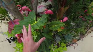 June Garden Tour Part 1