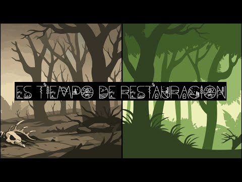 Brayan Ayala - Es tiempo de restauración - Domingo 11 de Enero de 2026