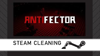 Steam Cleaning - ANTIFECTOR