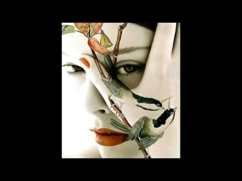 Beatzekatze Part II  Moodorama