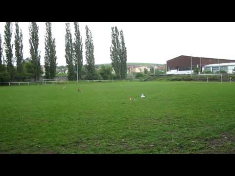 Kralupy nad Vltavou - Coursing