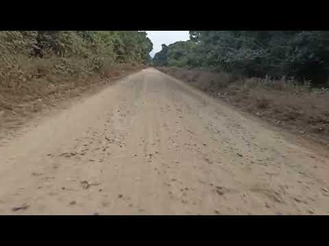 Ruta nro 18. km 5 Isla de Cañas (Salta)