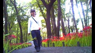 【トイデジ】彼岸花（曼珠沙華）【巾着田曼珠沙華公園】【デジタルハリネズミ】#Japan #photography #ToyCamera