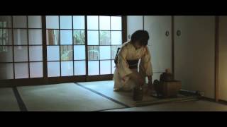 Steve Jansen / Richard Barbieri (Celebration)