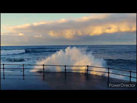 Âncora - Fabio Papaleo