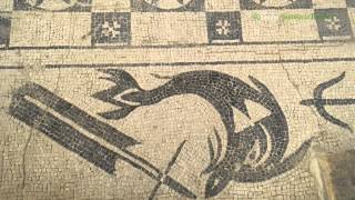 Villa Romana de Río Verde en Marbella. Málaga