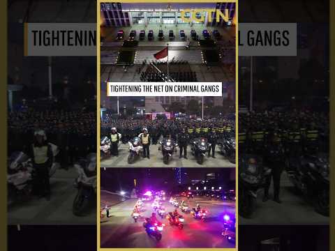 China launches special campaign against organized crime