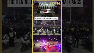 China launches special campaign against organized crime