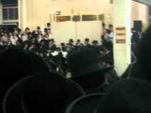 Lag Bomer in Satmar (Zalman Leib)