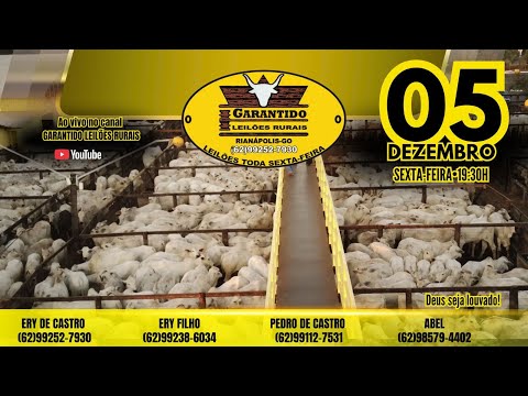 GARANTIDO LEILÕES RURAIS - RIANÁPOLIS-GO