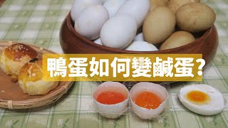 [食譜] 自製鹹鴨蛋