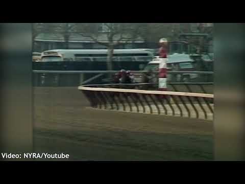 BOLD FORBES - Wood Memorial 1976 - Audio En Español